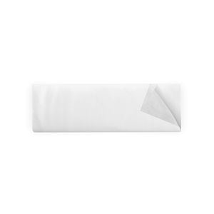 PANNI ANTISTATICI SPOLVERATURA - 20 CONF. DA 50 PZ- 30 CM X 60 CM - BIANCO