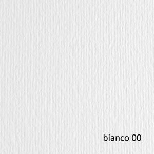 BLISTER 20FG CARTONCINO 50X70 220GR BIANCO 100 FABRIANO ELLE ERRE